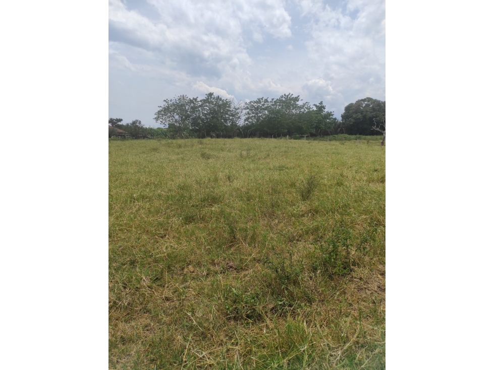 EN VENTA EXCLUSIVO LOTE CAMPESTRE EN CERRITOS, PEREIRA — foto 2