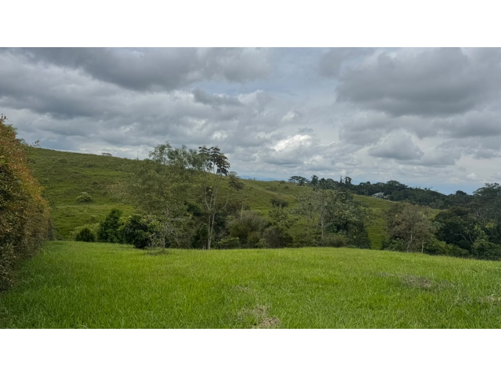 EN VEN-PERMUTA LOTE CAMPESTRE — foto 3