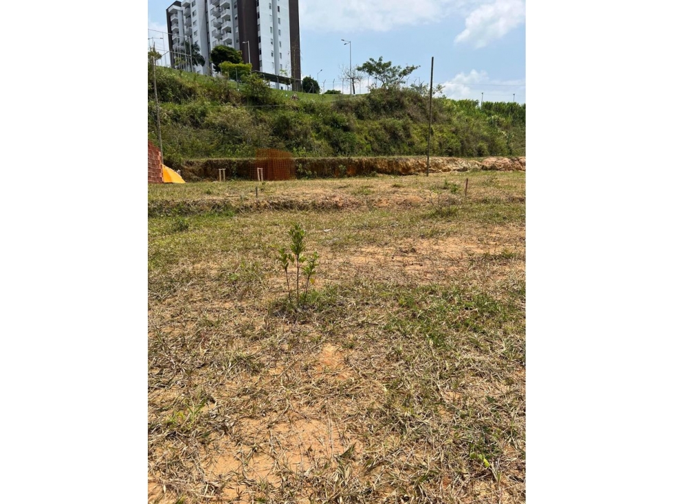 EN VENTA LOTES URBANOS, CON ESCRITURAS PÚBLICAS, PEREIRA, RISARALDA — foto 2