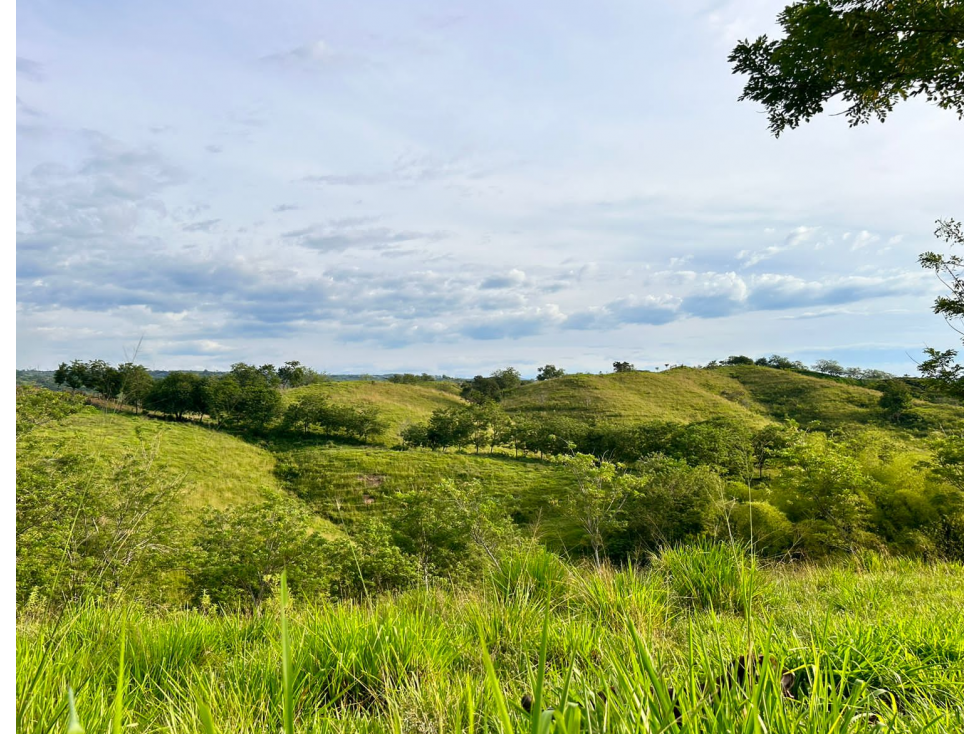 EN VENTA ESPECTACULAR FINCA VÍA PEREIRA - LA VIRGINIA — foto 2