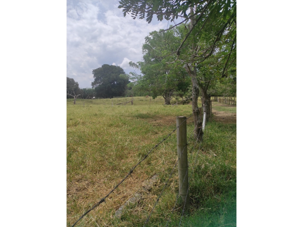 EN VENTA EXCLUSIVO LOTE CAMPESTRE EN CERRITOS, PEREIRA — foto 3