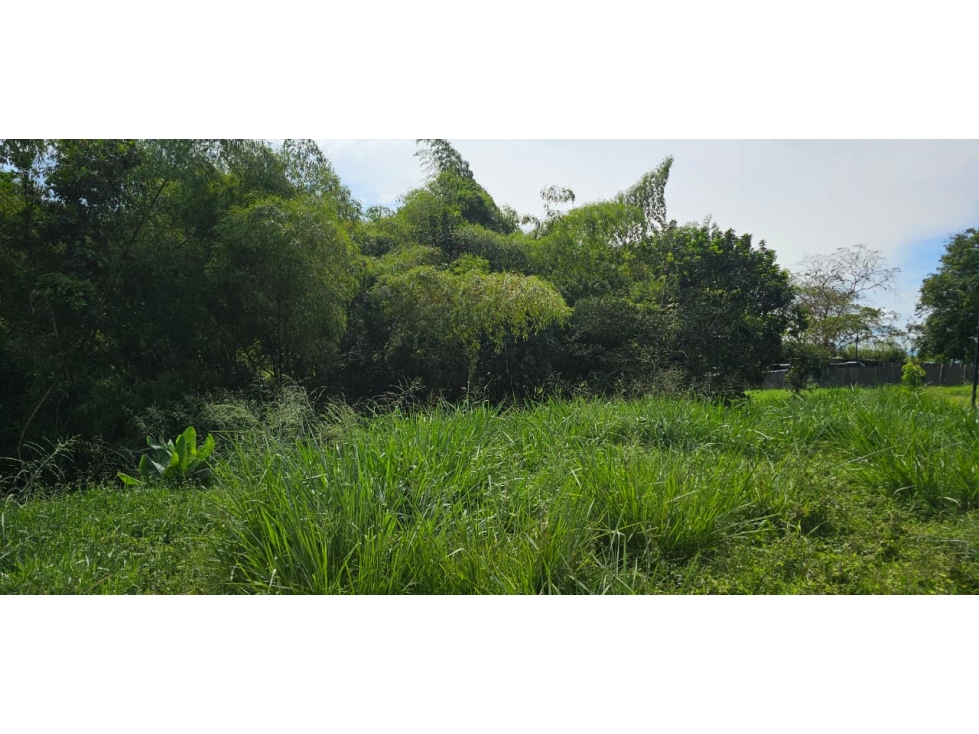 EN VENTA LOTE SECTOR EL TIGRE — foto 3