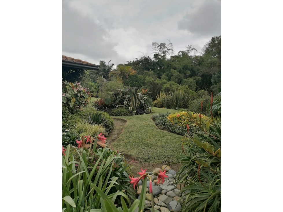 FINCA DE CAFE ORGANICO 3 CASAS — foto 5