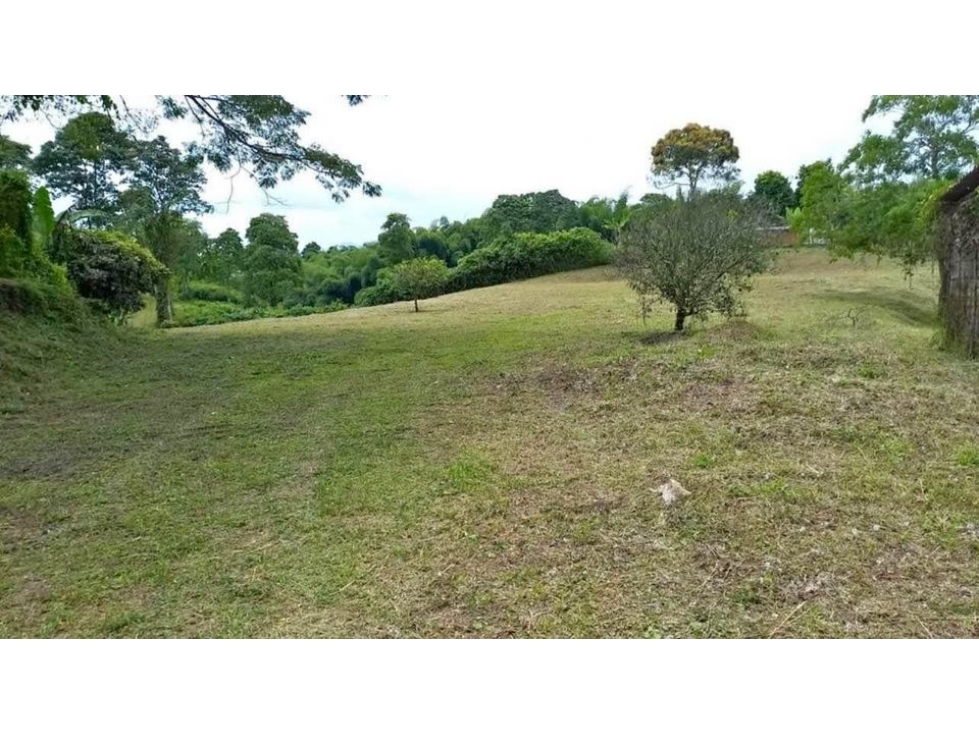 EN VENTA LOTE CAMPESTRE DE 10.000 M², SEMI PLANO, VÍA MORELIA — foto 5