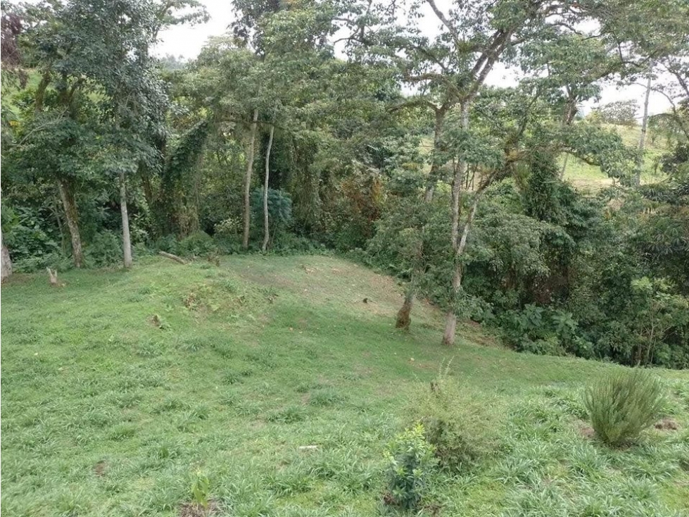 EN VENTA FINCA TERRENO PLANO, HERMOSAS VISUALES, EN LA FLORIDA PEREIRA — foto 6