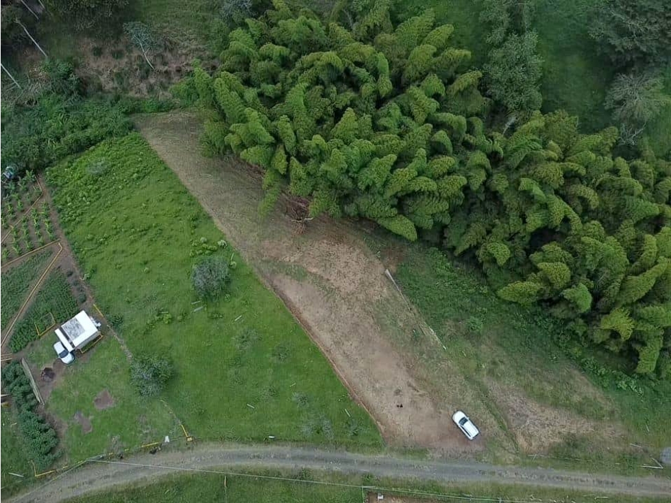 EN VENTA LOTE, CON PUNTOS DE SERVICIOS, SECTOR ALCALA - PEREIRA - 4