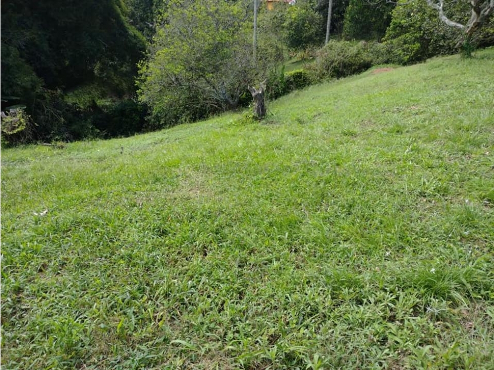 SE VENDE LOTE CAMPESTRE EN CONDOMINIO, SECTOR CERRITOS, PEREIRA — foto 5