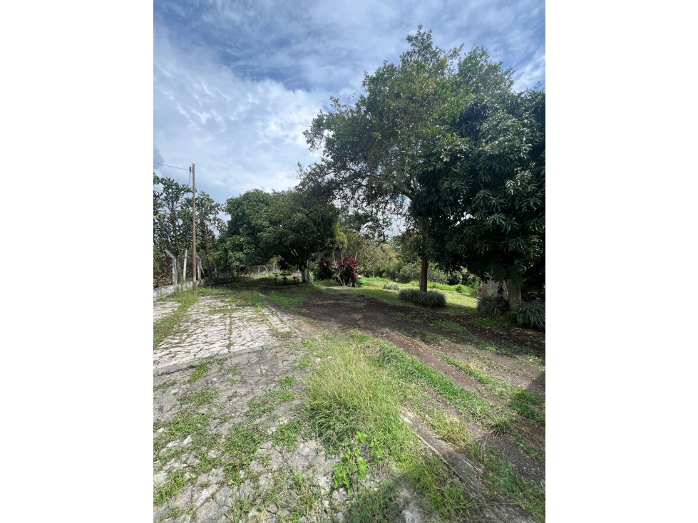 EN VENTA ESPECTACULAR LOTE EN EL TIGRE, CERRITOS, PEREIRA — foto 3