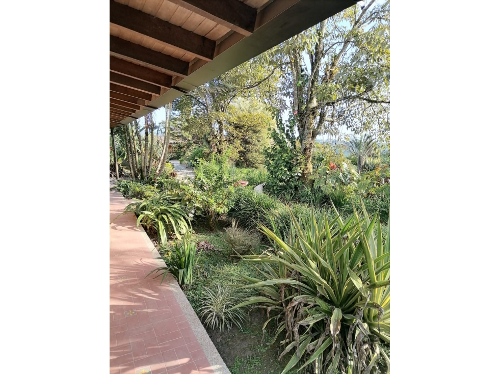 FINCA DE CAFE ORGANICO 3 CASAS — foto 4
