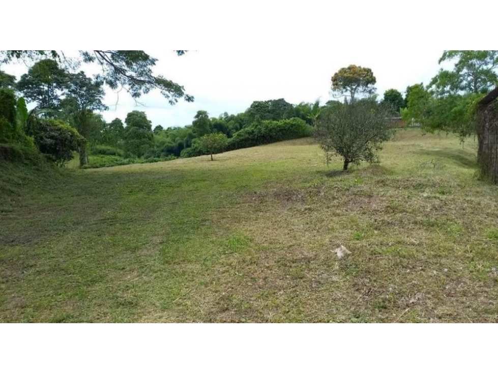 EN VENTA LOTE CAMPESTRE DE 10.000 M², SEMI PLANO, VÍA MORELIA — foto 6