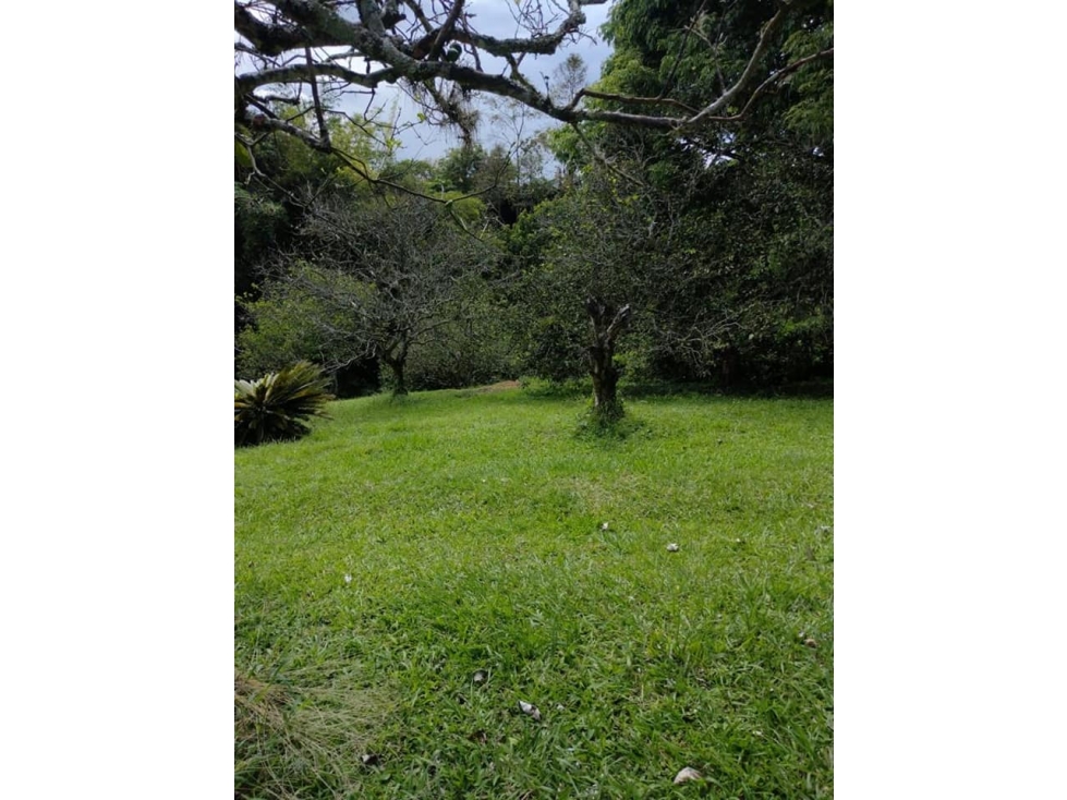 SE VENDE LOTE CAMPESTRE EN CONDOMINIO, SECTOR CERRITOS, PEREIRA — foto 6