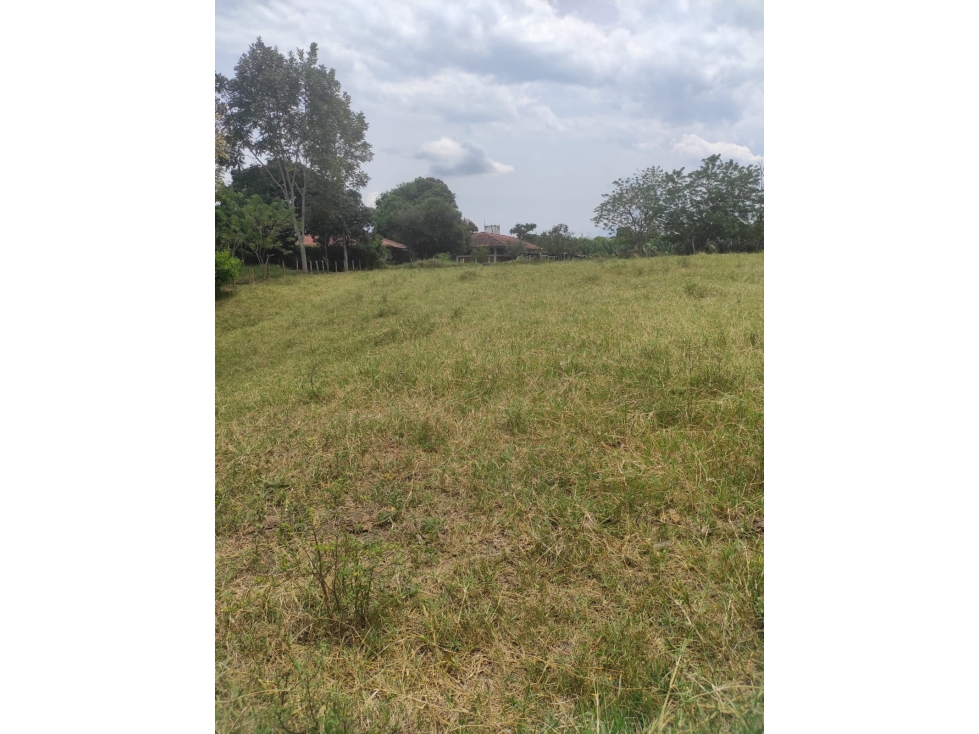 EN VENTA EXCLUSIVO LOTE CAMPESTRE EN CERRITOS, PEREIRA — foto 5