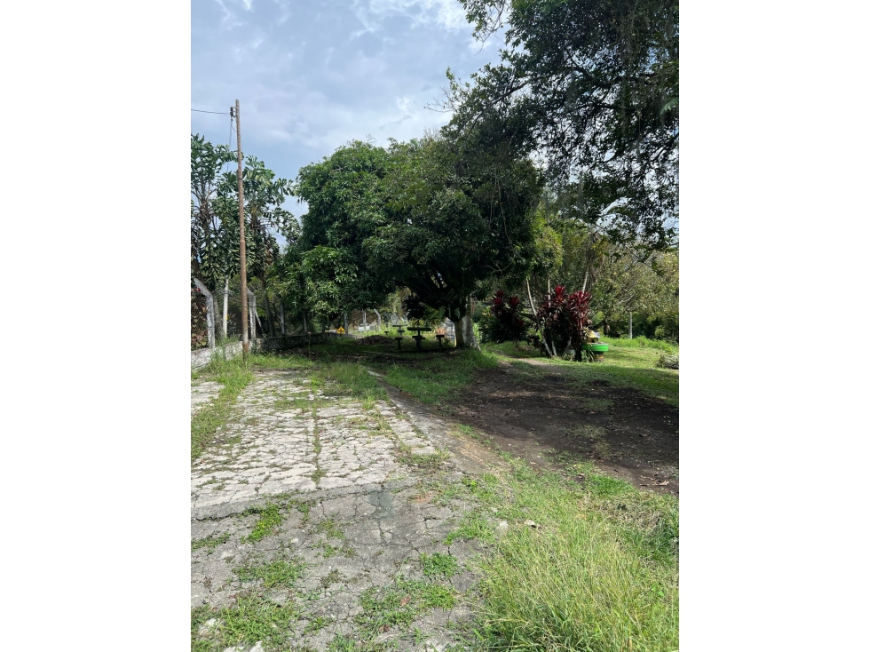 EN VENTA ESPECTACULAR LOTE EN EL TIGRE, CERRITOS, PEREIRA — foto 4