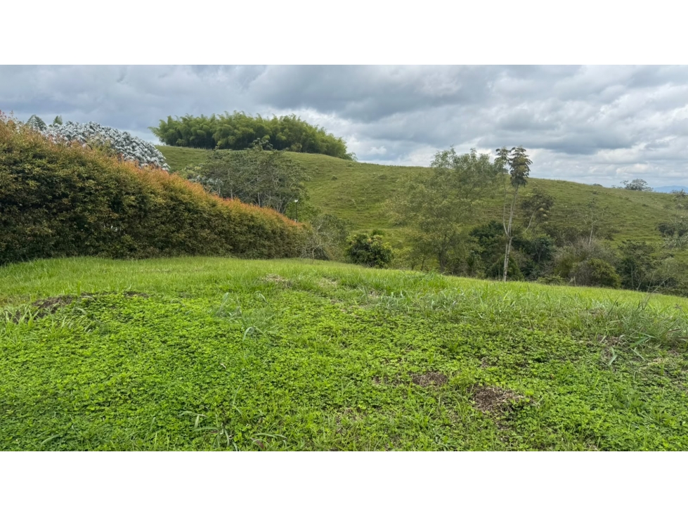 EN VEN-PERMUTA LOTE CAMPESTRE — foto 4
