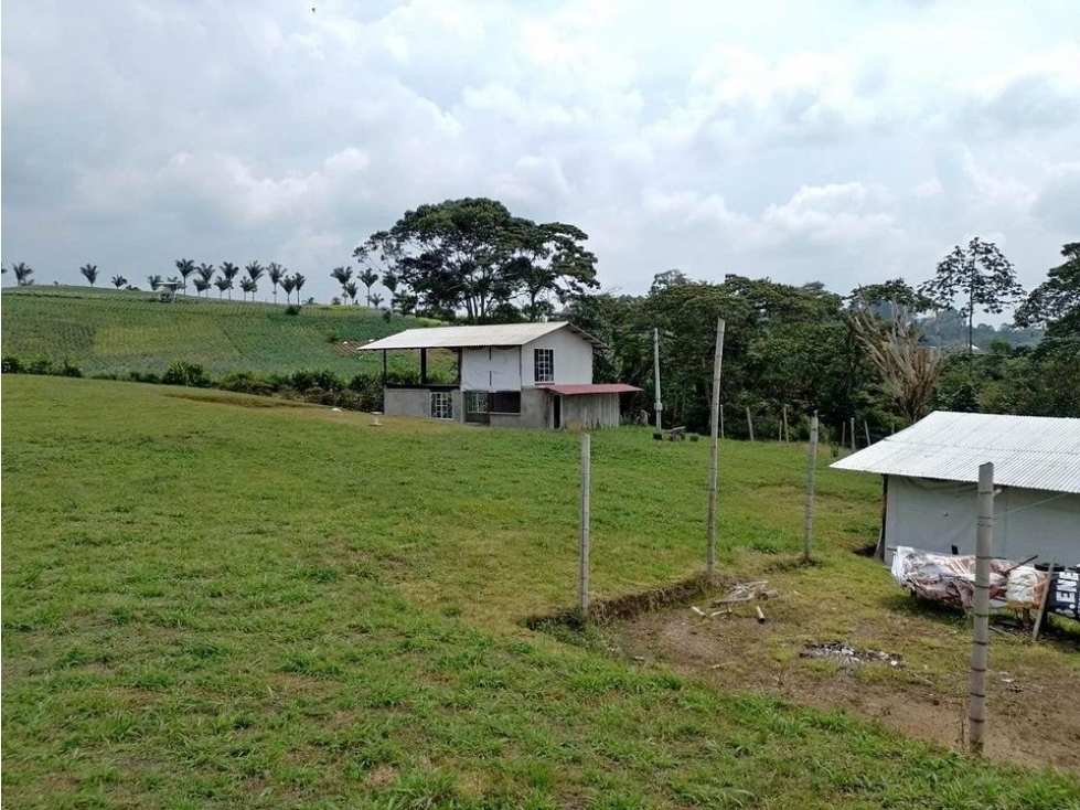 EN VENTA FINCA TERRENO PLANO, HERMOSAS VISUALES, EN LA FLORIDA PEREIRA — foto 4
