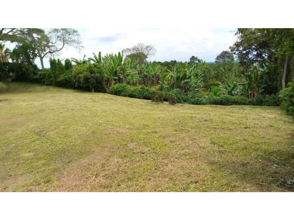 EN VENTA LOTE CAMPESTRE DE 10.000 M², SEMI PLANO, VÍA MORELIA — foto 2