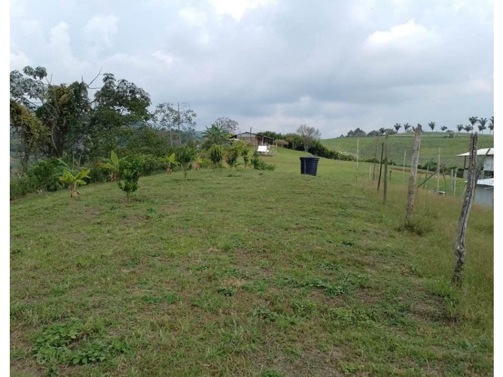 EN VENTA FINCA TERRENO PLANO, HERMOSAS VISUALES, EN LA FLORIDA PEREIRA