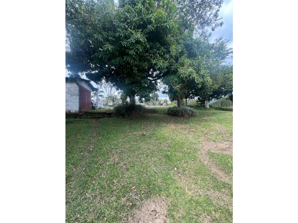 EN VENTA ESPECTACULAR LOTE EN EL TIGRE, CERRITOS, PEREIRA — foto 5