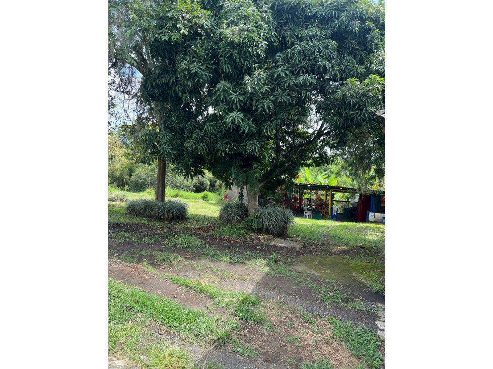 EN VENTA ESPECTACULAR LOTE EN EL TIGRE, CERRITOS, PEREIRA — foto 6