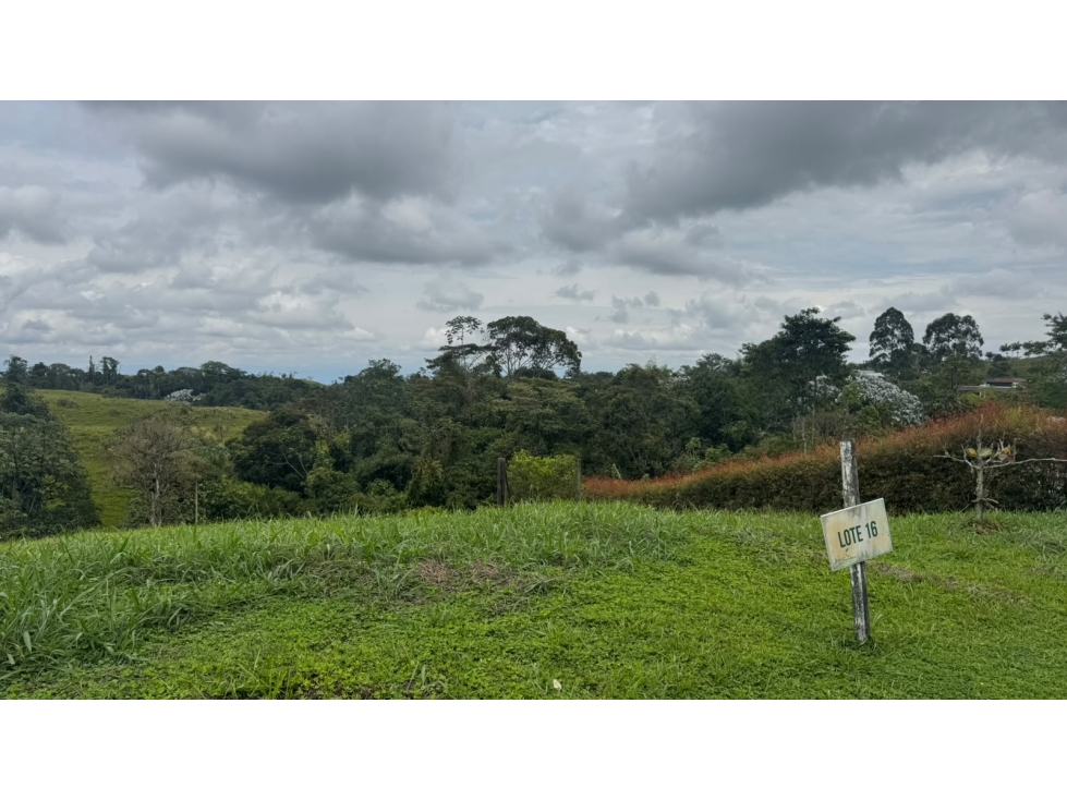 EN VEN-PERMUTA LOTE CAMPESTRE — foto 6