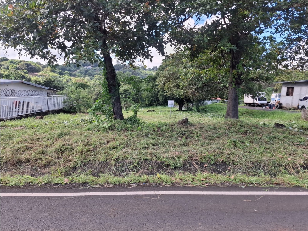 ¡TERRENO COMERCIAL E INDUSTRIAL EN VENTA O ALQUILER! TOCUMEN - 1