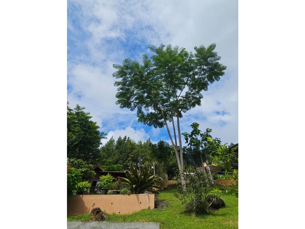 Oportunidad Casa de Campo San Carlos , La Laguna $165.000 — foto 6