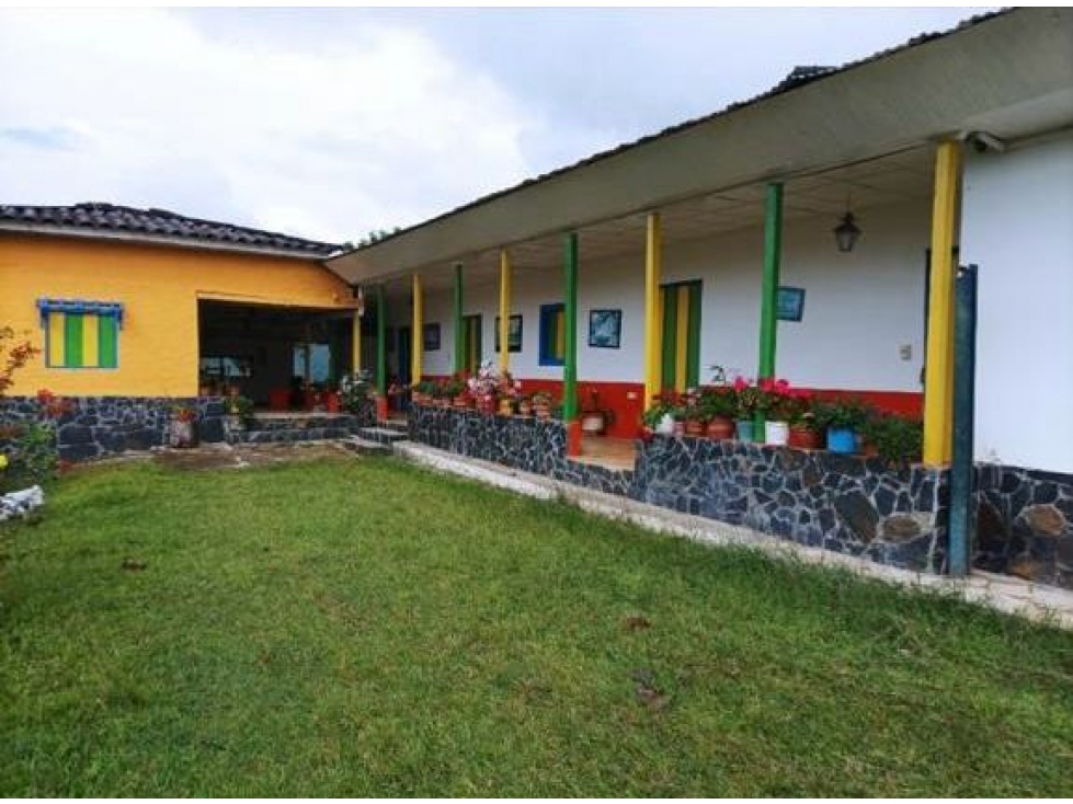 FINCA GANADERA EN VENTA VEREDA LA QUIEBRA ANSERMA NUEVO VALLE - 1