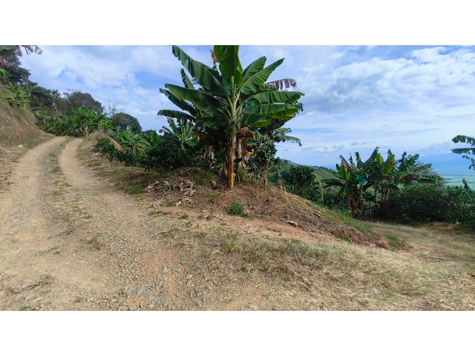 FINCA EN VENTA BELALCAZAR CALDAS - 4
