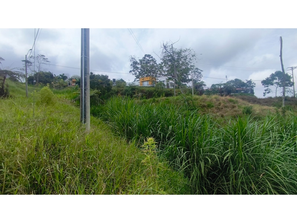 LOTE EN VENTA EN PARCELACIÓN ENTRADA 10 PEREIRA-ARMENIA — foto 6