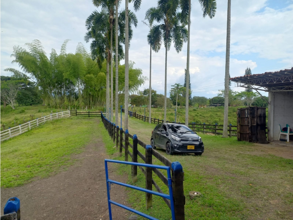 FINCA PRODUCTIVA CORREGIMIENTO MORELIA PEREIRA