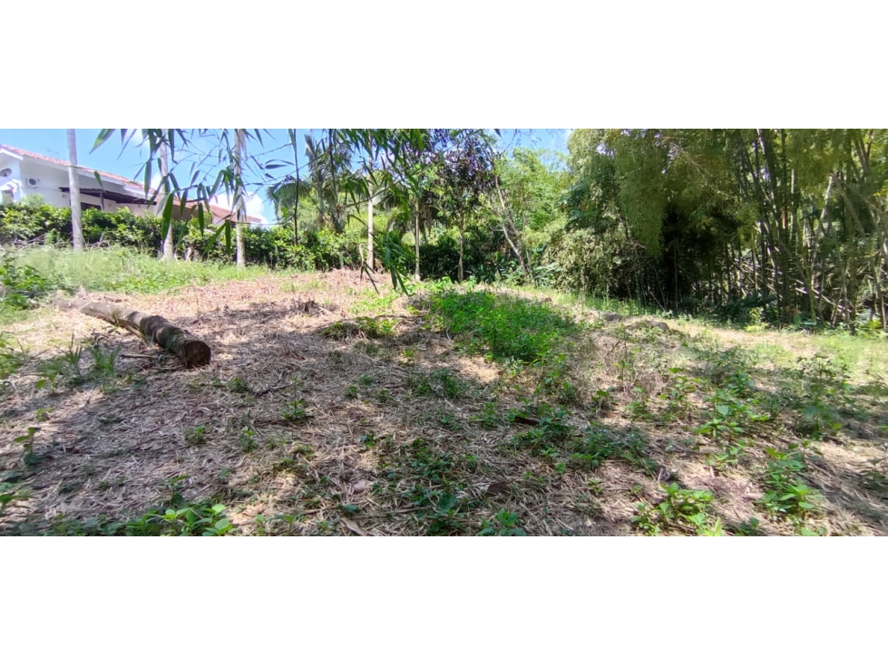 LOTE CAMPESTRE SECTOR EL TIGRE — foto 4