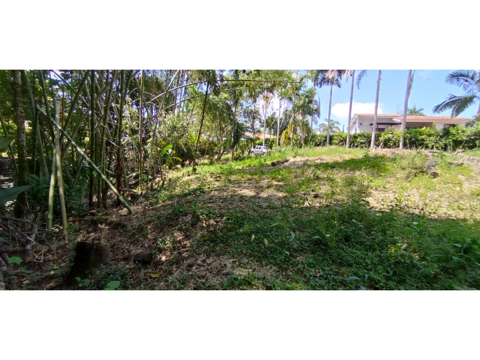 LOTE CAMPESTRE SECTOR EL TIGRE — foto 5