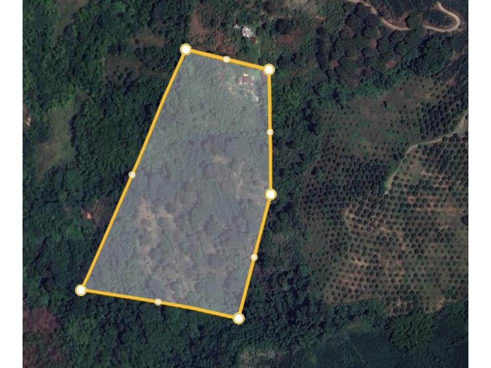 FINCA EN VENTA BELALCAZAR CALDAS - 3