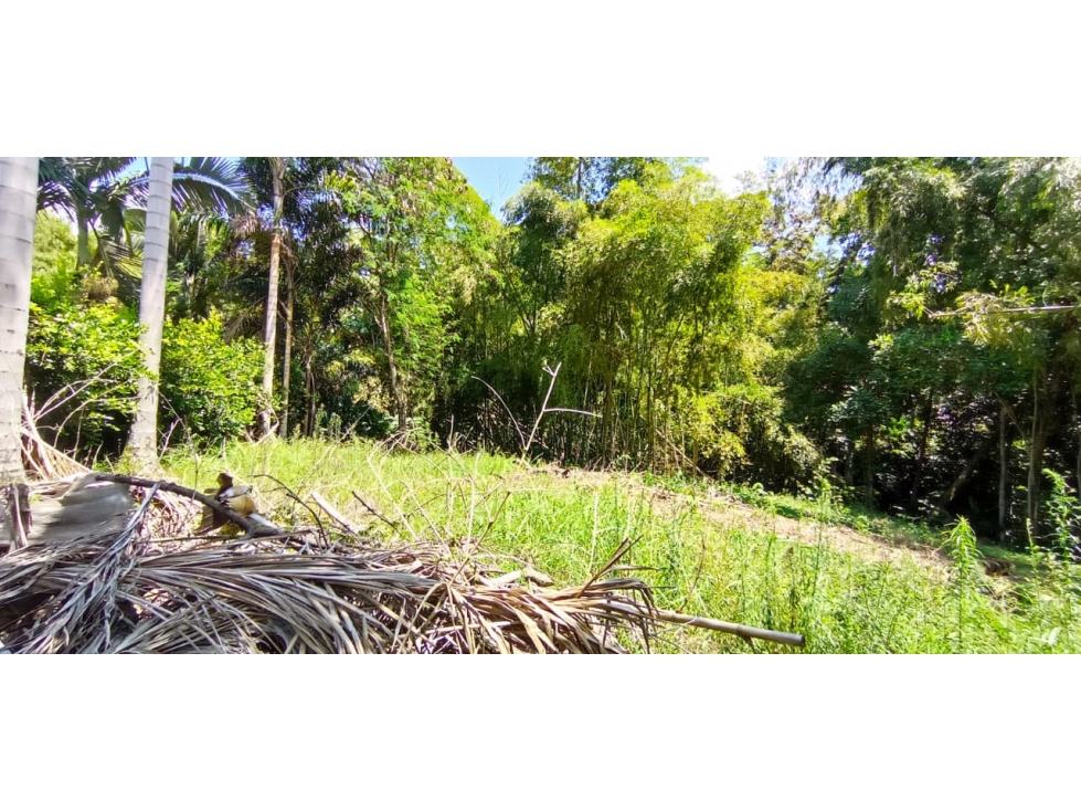 LOTE CAMPESTRE SECTOR EL TIGRE — foto 6