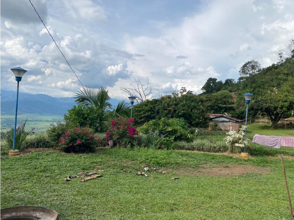 FINCA EN VENTA BELALCAZAR CALDAS - 2