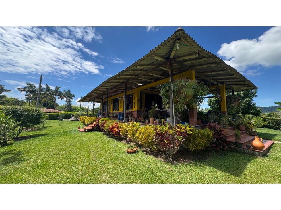 FINCA EN VENTA VEREDA LA HONDA COMBIA PEREIRA — foto 3