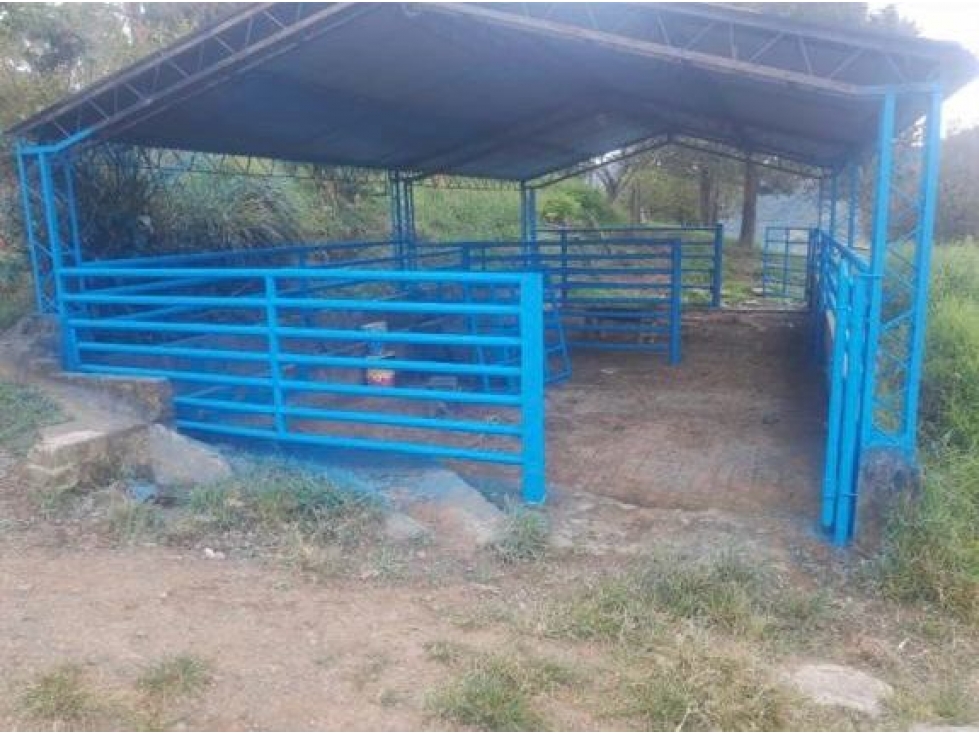 FINCA GANADERA EN VENTA VEREDA LA QUIEBRA ANSERMA NUEVO VALLE - 3