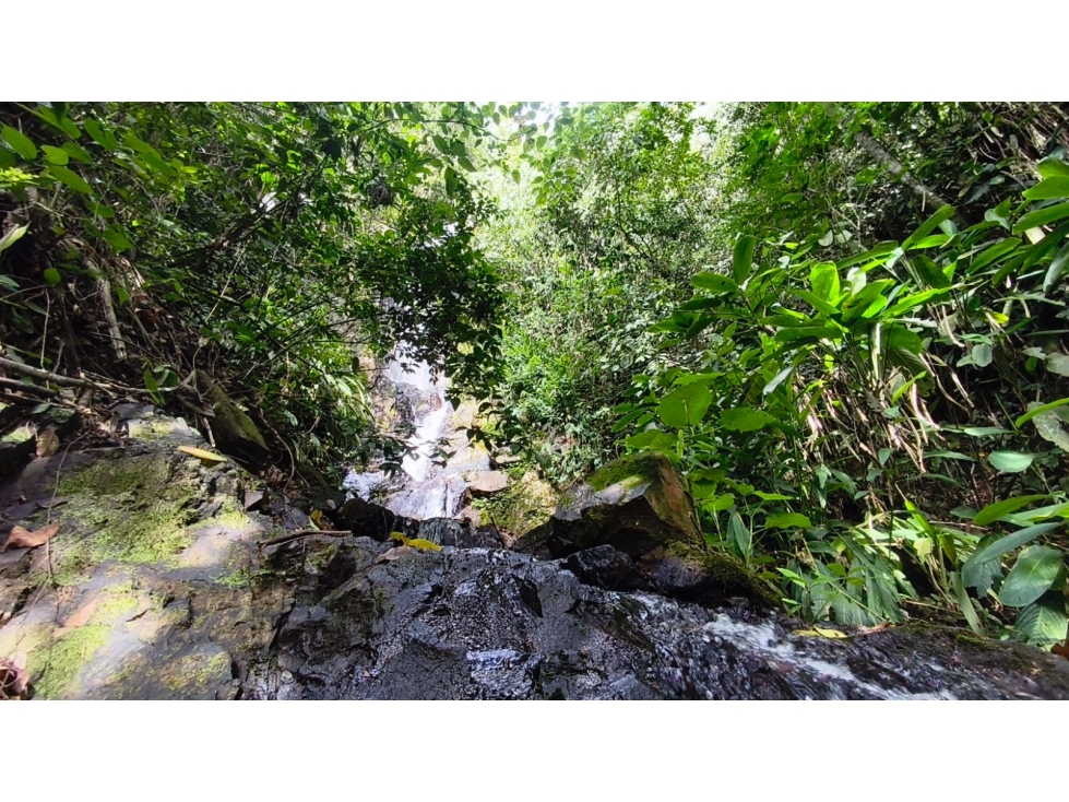FINCA EN VENTA BELALCAZAR CALDAS - 5