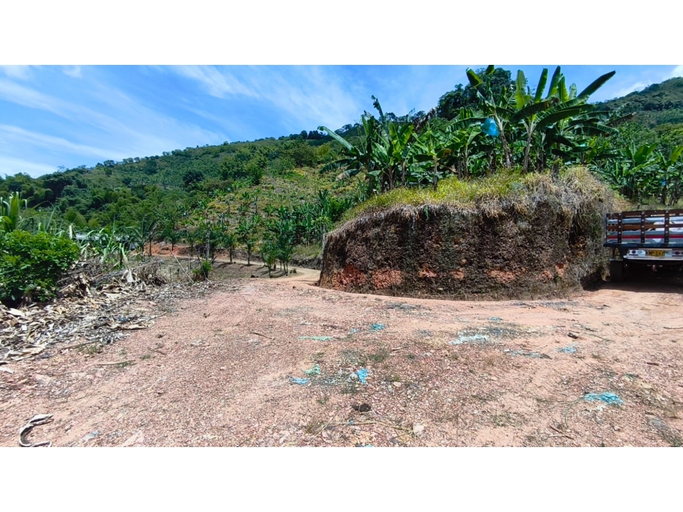FINCA PRODUCTIVA EN VENTA EL VERGEL ANSERMA VALLE - 1