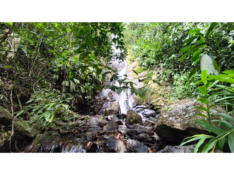 FINCA EN VENTA BELALCAZAR CALDAS - 6