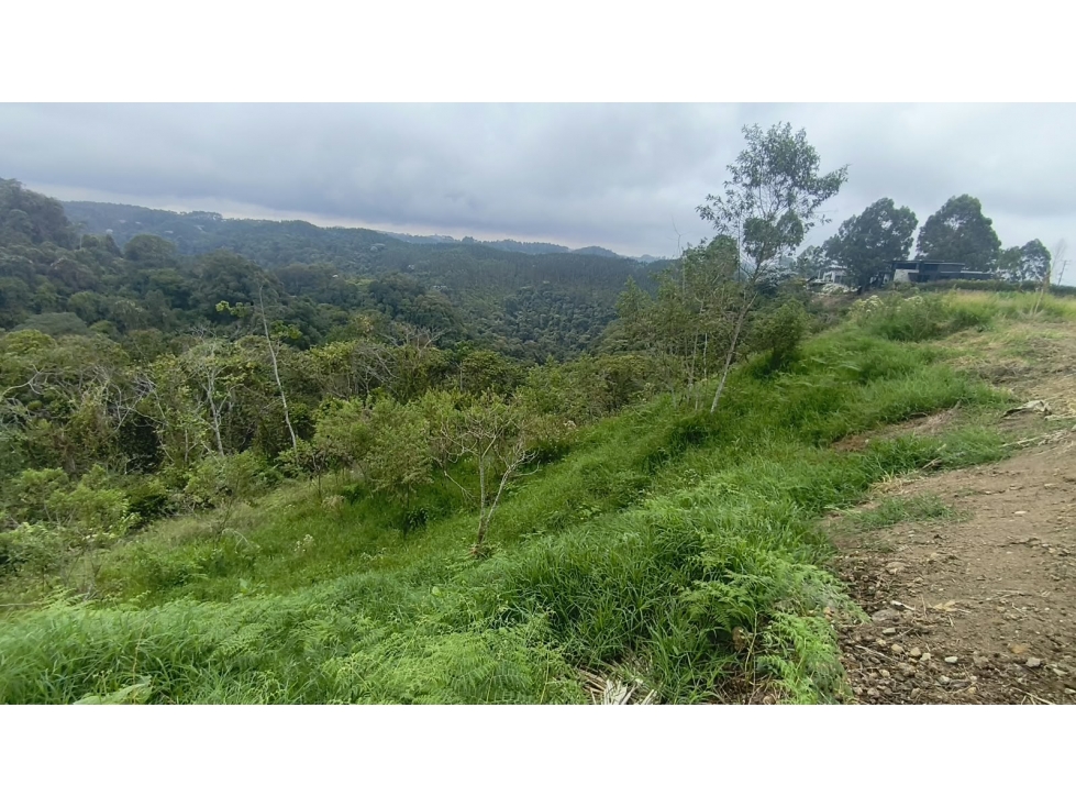 LOTE EN VENTA LOMA LINDA SALIDA 10 PEREIRA-ARMENIA - 5