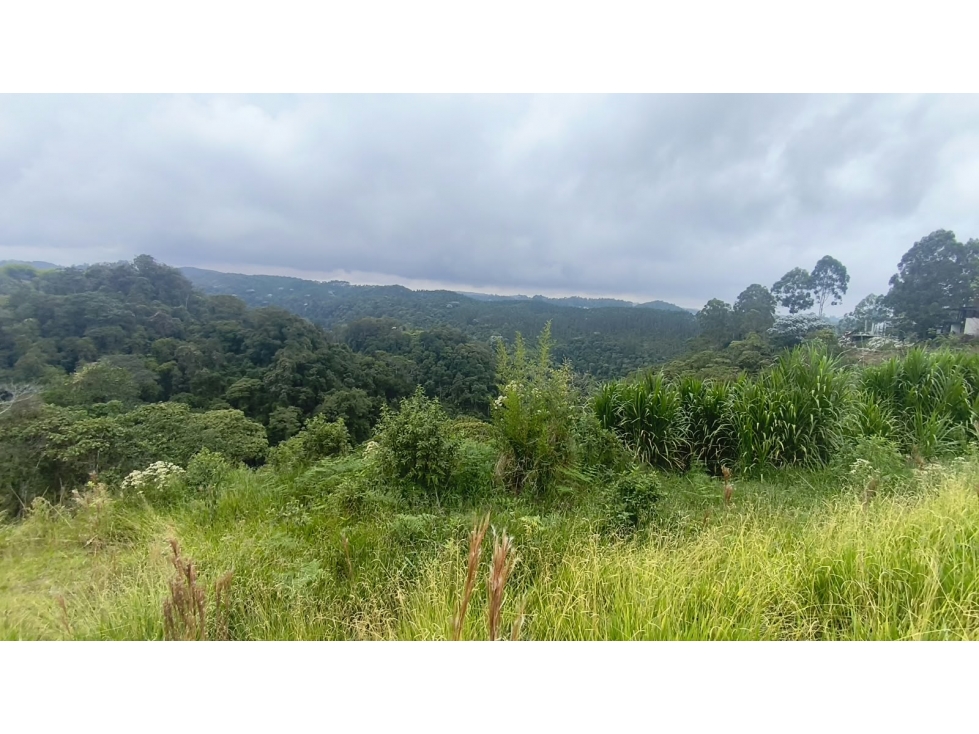 LOTE EN VENTA LOMA LINDA SALIDA 10 PEREIRA-ARMENIA - 6