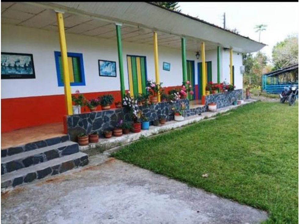 FINCA GANADERA EN VENTA VEREDA LA QUIEBRA ANSERMA NUEVO VALLE - 2