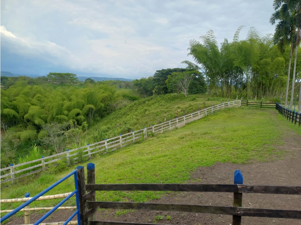 FINCA PRODUCTIVA CORREGIMIENTO MORELIA PEREIRA — foto 2