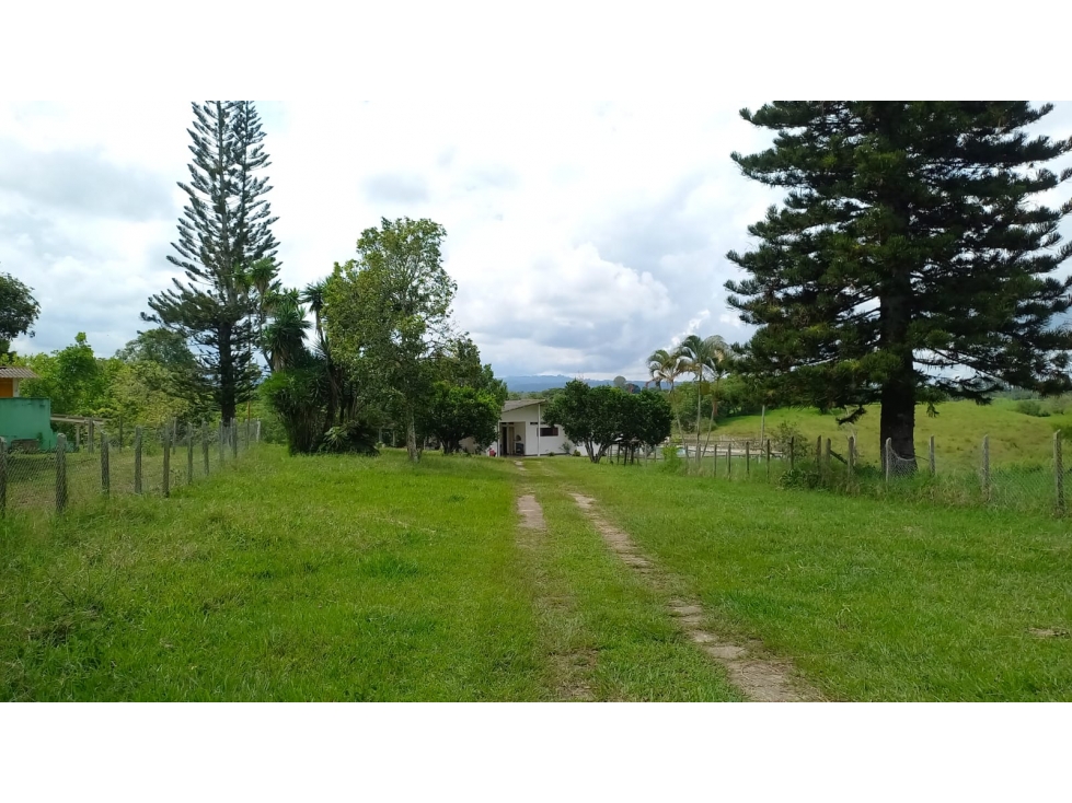 FINCA PRODUCTIVA CORREGIMIENTO MORELIA PEREIRA — foto 3