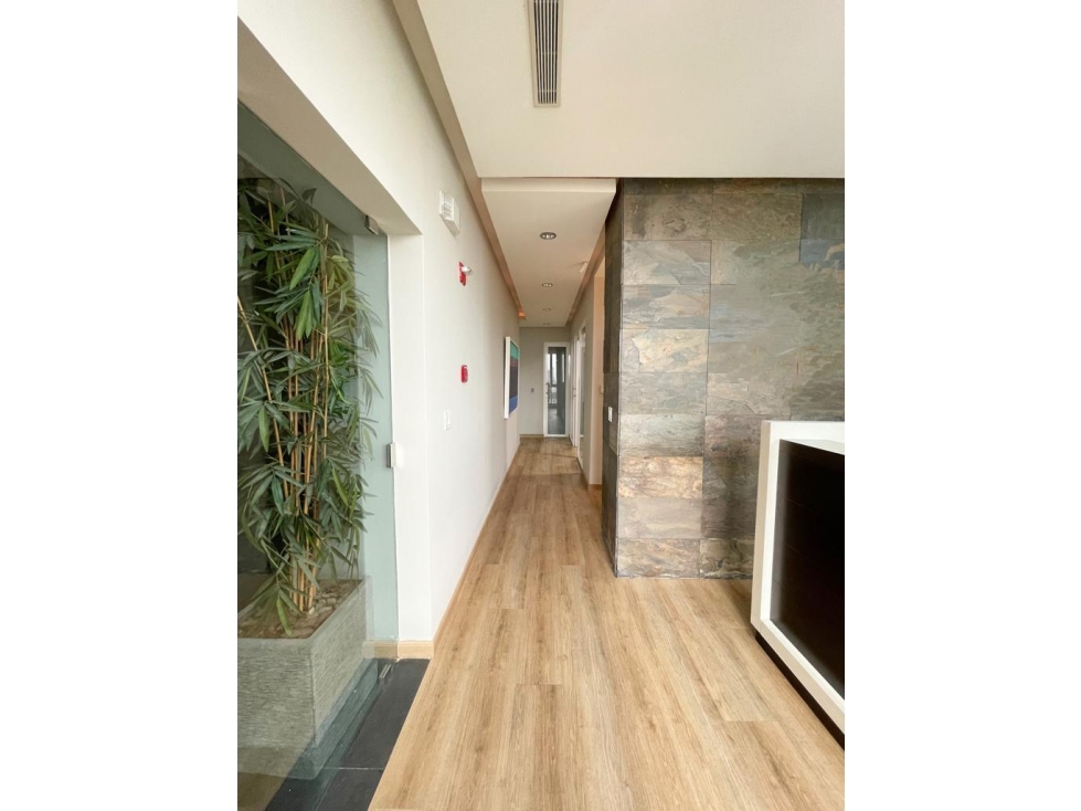 Venta | Alquiler - Oficina en Ph Blue Business Center, San Francisco — foto 6