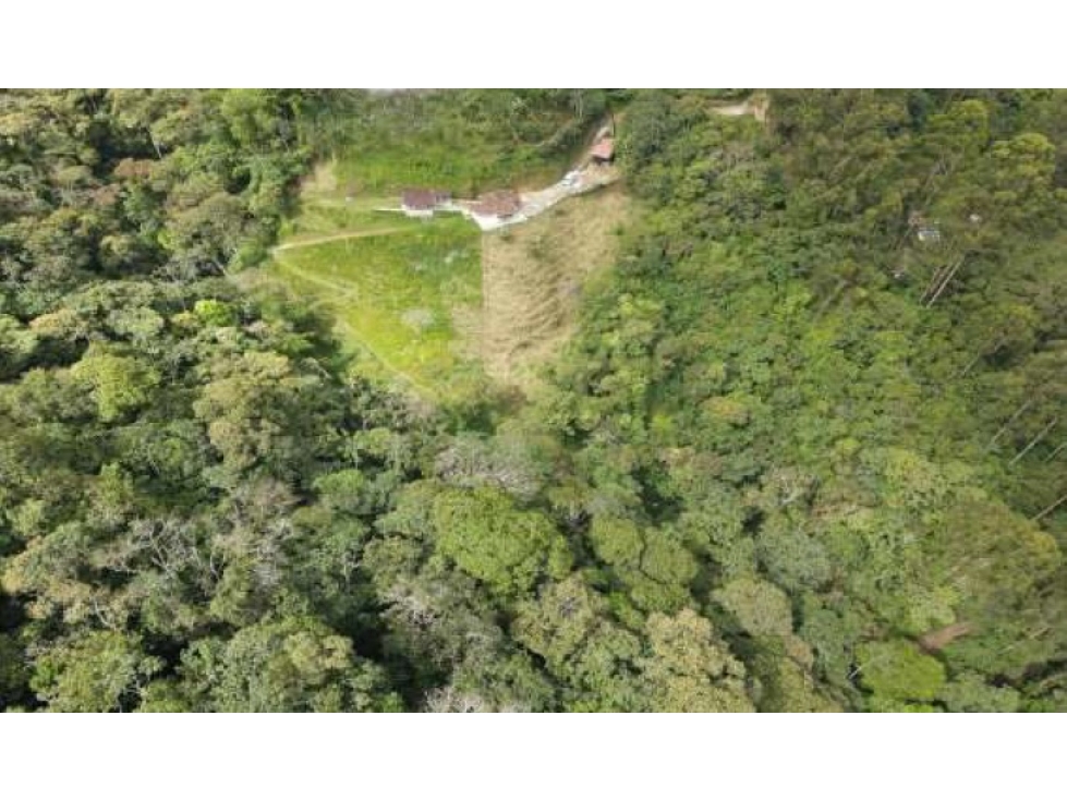 Venta lote en Envigado Vereda el Vallano sector la Catedral