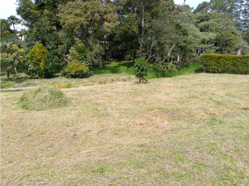 Lote en venta El Carmen de Viboral topografía plana — foto 5
