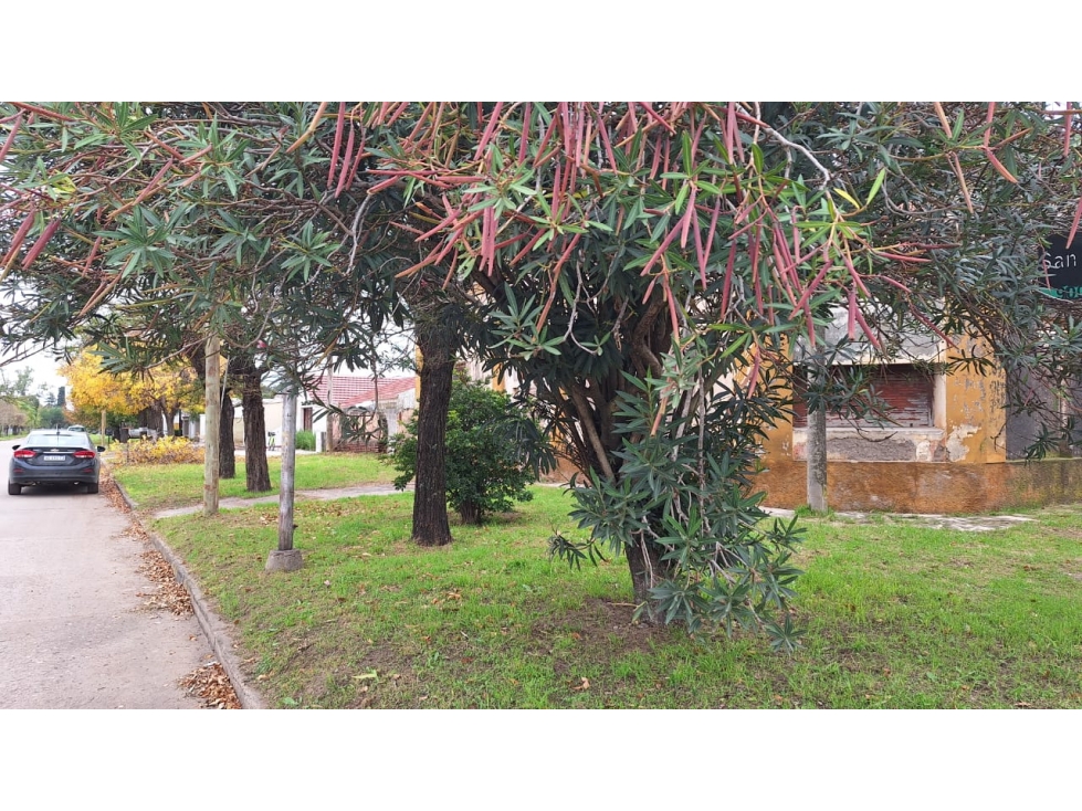 GEO VENDE CASA ANTIGUA EN LAS PERDICES - 3