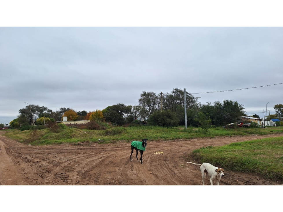 GEO VENDE - LOTE EN LAS PERDICES (Pueyrredón Esq. Bv. Lamadrid) - 4
